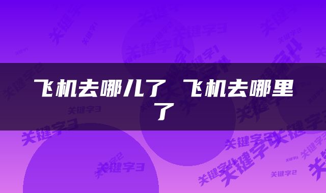 飞机去哪儿了 飞机去哪里了
