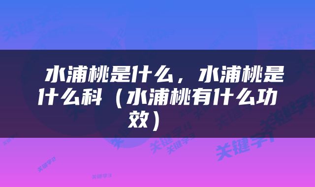  水浦桃是什么，水浦桃是什么科（水浦桃有什么功效） 