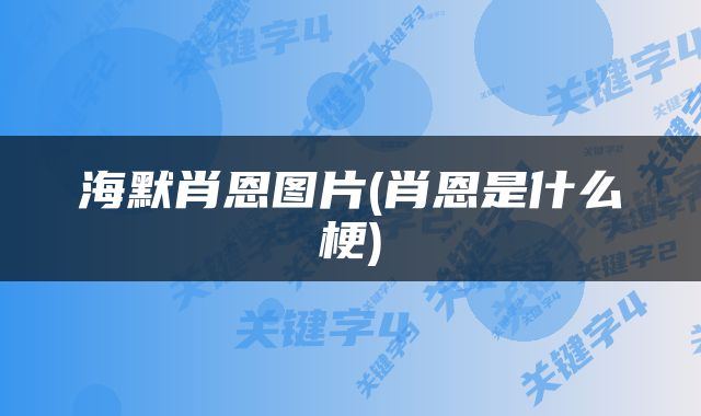 海默肖恩图片(肖恩是什么梗)