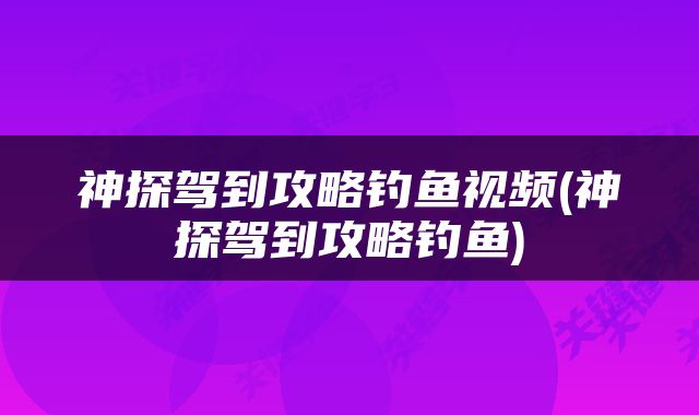 神探驾到攻略钓鱼视频(神探驾到攻略钓鱼)