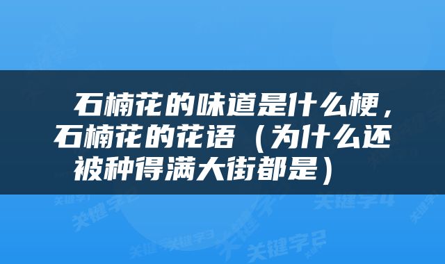  石楠花的味道是什么梗，石楠花的花语（为什么还被种得满大街都是） 