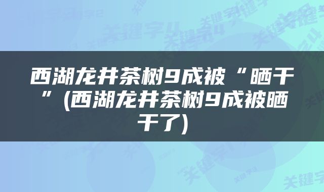 西湖龙井茶树9成被“晒干”(西湖龙井茶树9成被晒干了)