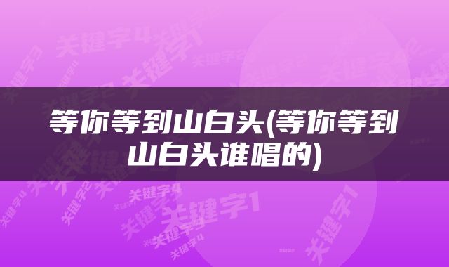 等你等到山白头(等你等到山白头谁唱的)