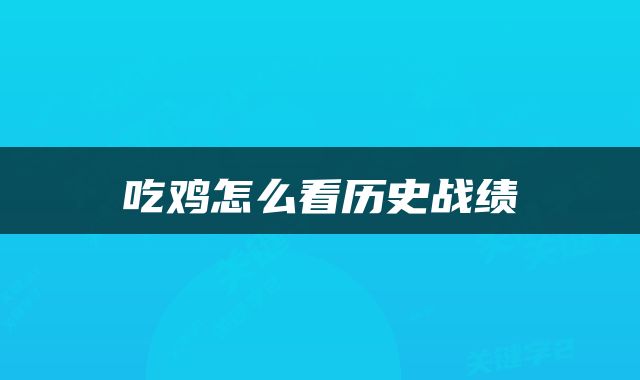 吃鸡怎么看历史战绩