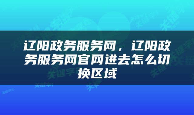辽阳政务服务网，辽阳政务服务网官网进去怎么切换区域