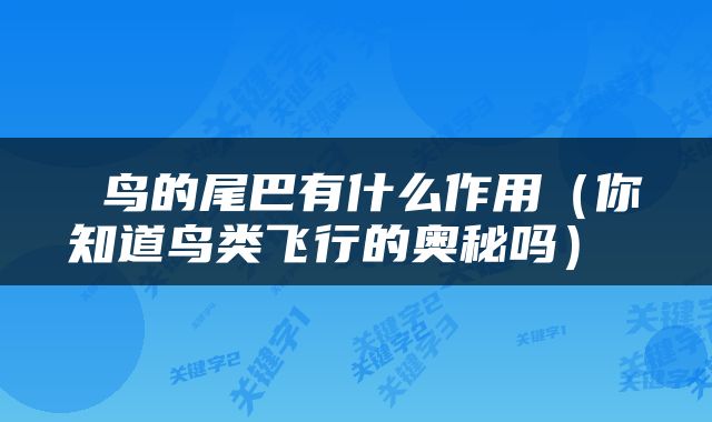  鸟的尾巴有什么作用（你知道鸟类飞行的奥秘吗） 