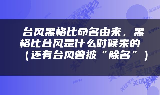  台风黑格比命名由来，黑格比台风是什么时候来的（还有台风曾被“除名”） 