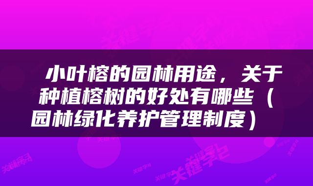  小叶榕的园林用途，关于种植榕树的好处有哪些（园林绿化养护管理制度） 