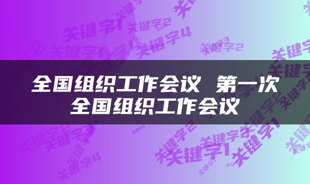 全国组织工作会议 第一次全国组织工作会议