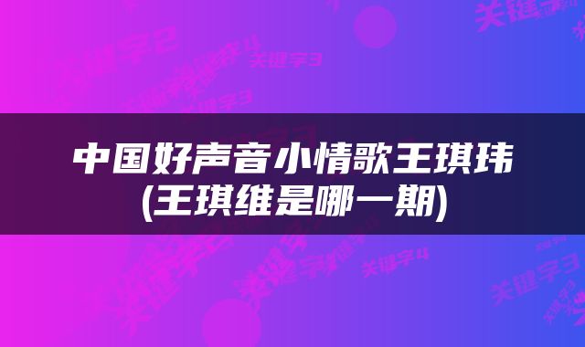 中国好声音小情歌王琪玮(王琪维是哪一期)