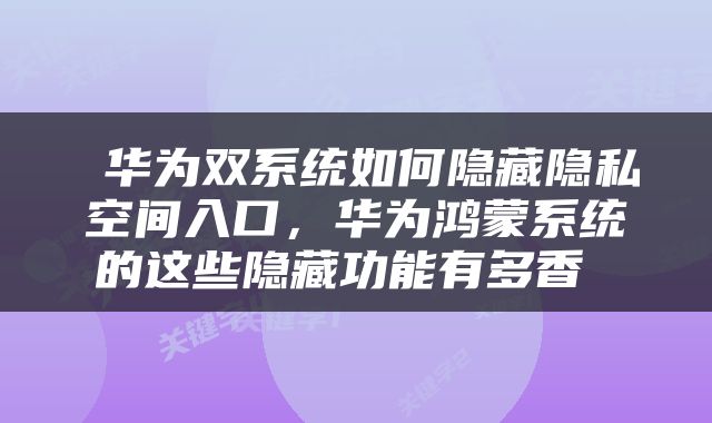  华为双系统如何隐藏隐私空间入口，华为鸿蒙系统的这些隐藏功能有多香 