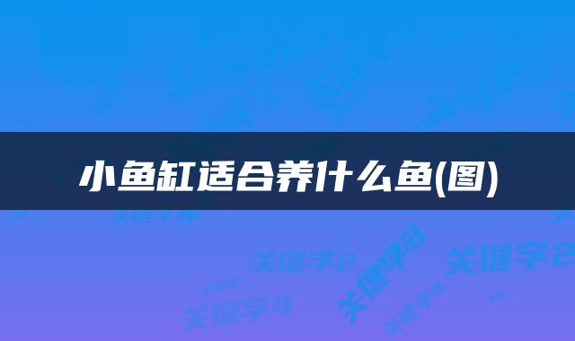 小鱼缸适合养什么鱼(图)