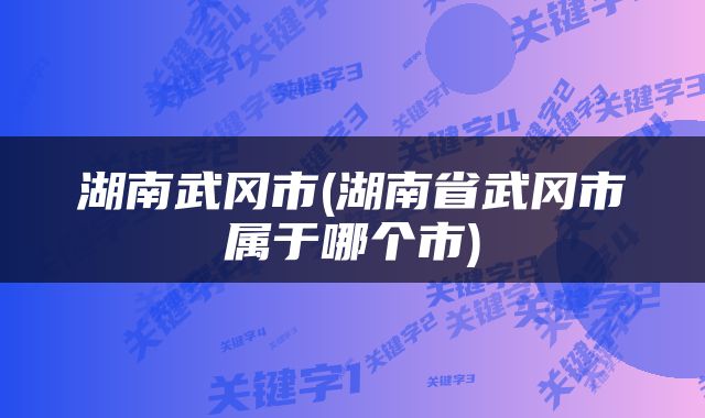 湖南武冈市(湖南省武冈市属于哪个市)