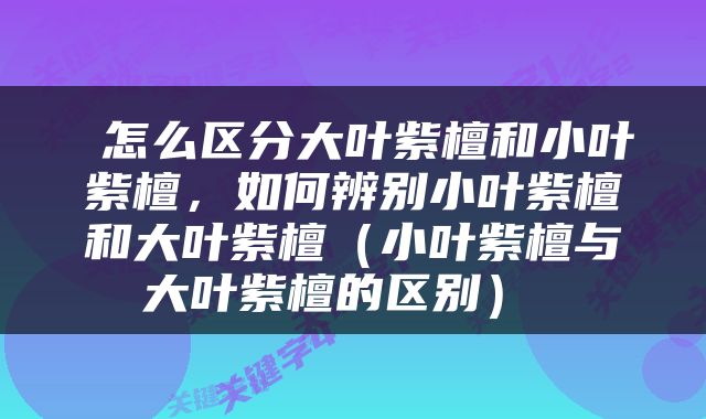  怎么区分大叶紫檀和小叶紫檀，如何辨别小叶紫檀和大叶紫檀（小叶紫檀与大叶紫檀的区别） 