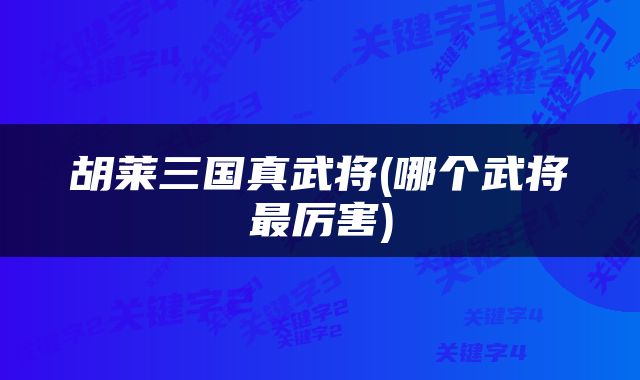 胡莱三国真武将(哪个武将最厉害)