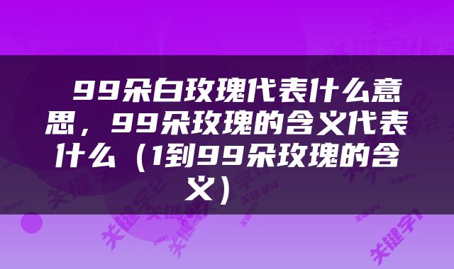  99朵白玫瑰代表什么意思，99朵玫瑰的含义代表什么（1到99朵玫瑰的含义） 
