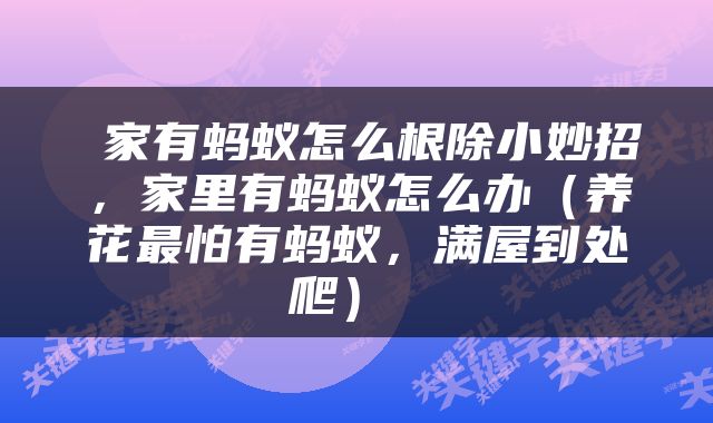  家有蚂蚁怎么根除小妙招，家里有蚂蚁怎么办（养花最怕有蚂蚁，满屋到处爬） 