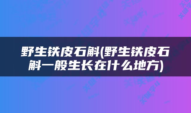 野生铁皮石斛(野生铁皮石斛一般生长在什么地方)