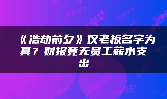 《浩劫前夕》仅老板名字为真？财报竟无员工薪水支出