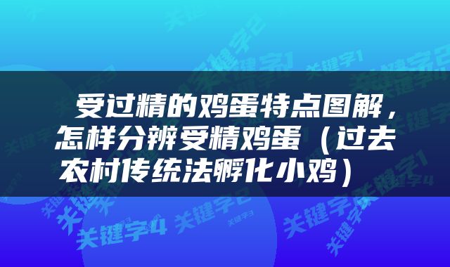  受过精的鸡蛋特点图解，怎样分辨受精鸡蛋（过去农村传统法孵化小鸡） 