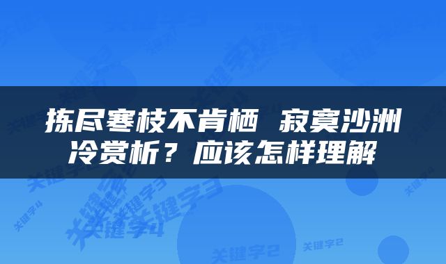 拣尽寒枝不肯栖 寂寞沙洲冷赏析？应该怎样理解