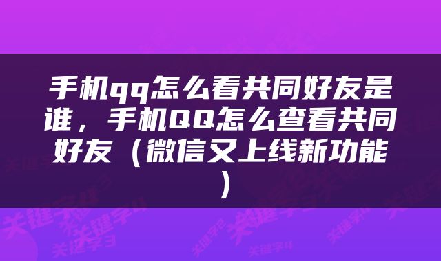 手机qq怎么看共同好友是谁，手机QQ怎么查看共同好友（微信又上线新功能）