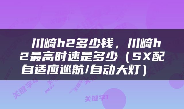  川崎h2多少钱，川崎h2最高时速是多少（SX配自适应巡航/自动大灯） 