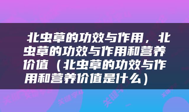  北虫草的功效与作用，北虫草的功效与作用和营养价值（北虫草的功效与作用和营养价值是什么） 