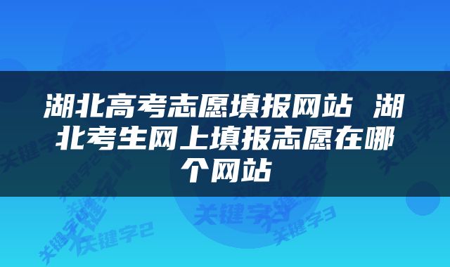湖北高考志愿填报网站 湖北考生网上填报志愿在哪个网站
