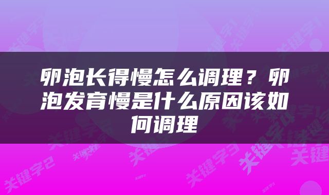 卵泡长得慢怎么调理？卵泡发育慢是什么原因该如何调理