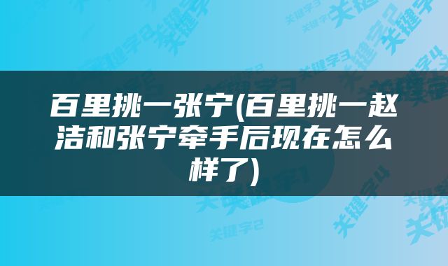 百里挑一张宁(百里挑一赵洁和张宁牵手后现在怎么样了)