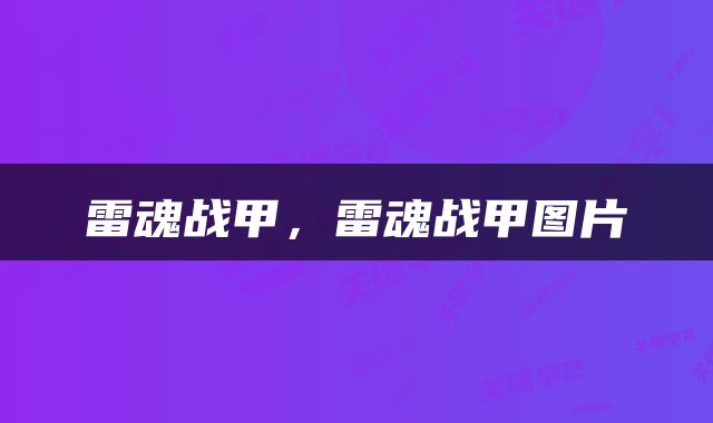雷魂战甲，雷魂战甲图片