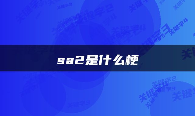 sa2是什么梗
