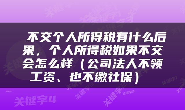  不交个人所得税有什么后果，个人所得税如果不交会怎么样（公司法人不领工资、也不缴社保） 