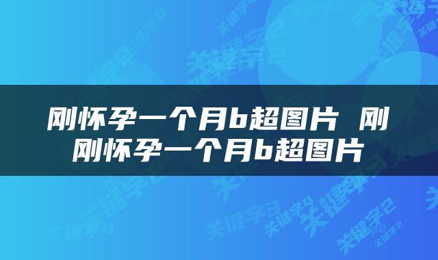 刚怀孕一个月b超图片 刚刚怀孕一个月b超图片