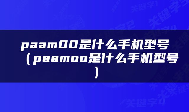 paam00是什么手机型号（paamoo是什么手机型号）