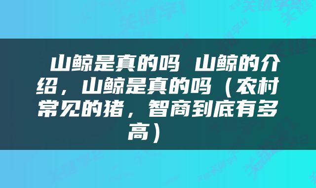  山鲸是真的吗 山鲸的介绍，山鲸是真的吗（农村常见的猪，智商到底有多高） 