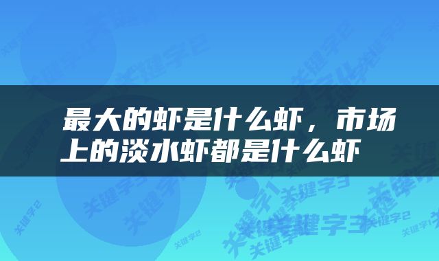  最大的虾是什么虾，市场上的淡水虾都是什么虾 