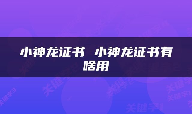 小神龙证书 小神龙证书有啥用