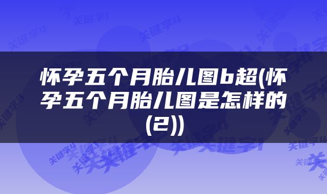 怀孕五个月胎儿图b超(怀孕五个月胎儿图是怎样的(2))