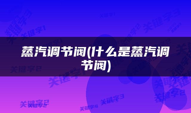 蒸汽调节阀(什么是蒸汽调节阀)