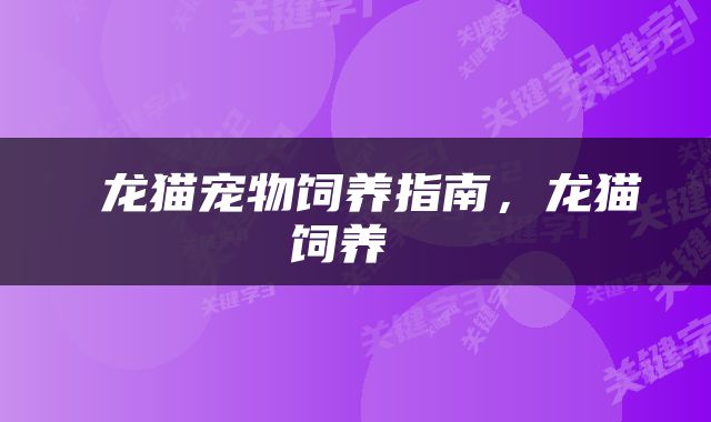  龙猫宠物饲养指南，龙猫饲养 