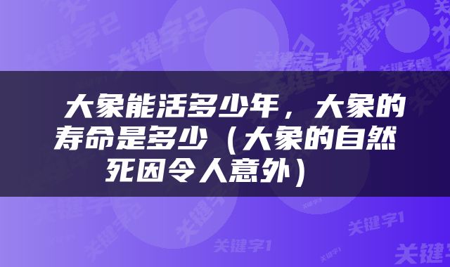  大象能活多少年，大象的寿命是多少（大象的自然死因令人意外） 