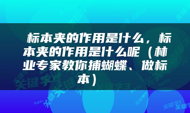  标本夹的作用是什么，标本夹的作用是什么呢（林业专家教你捕蝴蝶、做标本） 