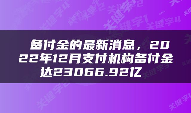  备付金的最新消息，2022年12月支付机构备付金达23066.92亿 
