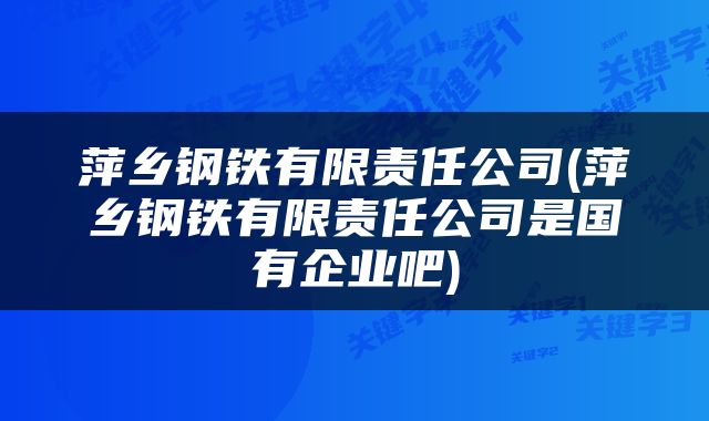 萍乡钢铁有限责任公司(萍乡钢铁有限责任公司是国有企业吧)
