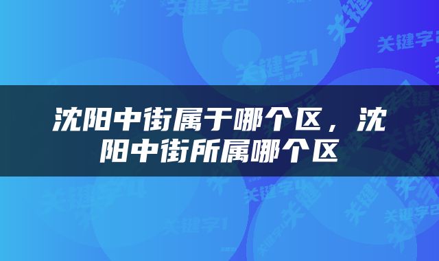沈阳中街属于哪个区，沈阳中街所属哪个区