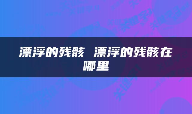 漂浮的残骸 漂浮的残骸在哪里