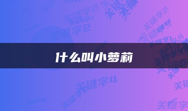 什么叫小萝莉