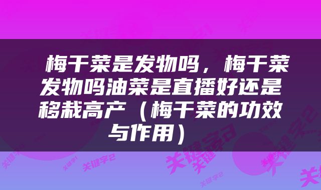  梅干菜是发物吗，梅干菜发物吗油菜是直播好还是移栽高产（梅干菜的功效与作用） 